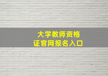 大学教师资格证官网报名入口