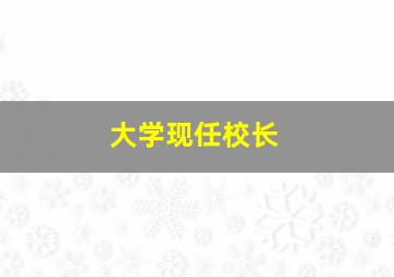 大学现任校长