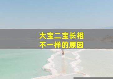 大宝二宝长相不一样的原因