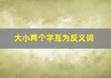 大小两个字互为反义词