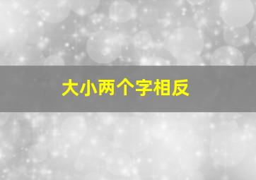 大小两个字相反