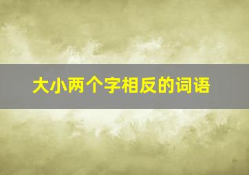 大小两个字相反的词语