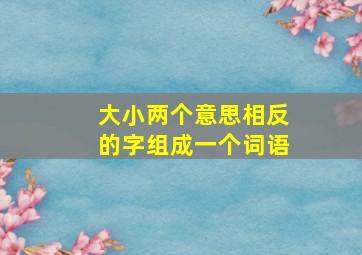 大小两个意思相反的字组成一个词语