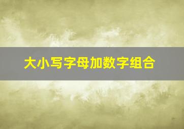 大小写字母加数字组合