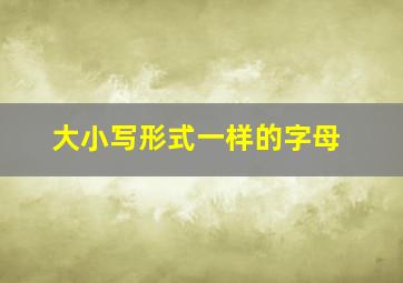 大小写形式一样的字母