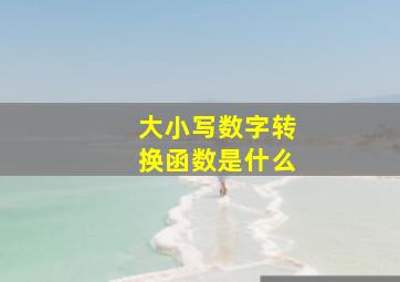 大小写数字转换函数是什么