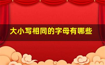 大小写相同的字母有哪些