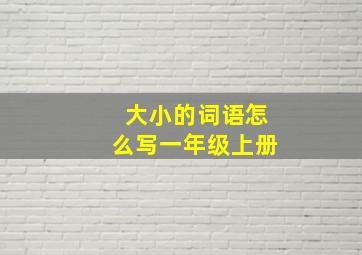 大小的词语怎么写一年级上册