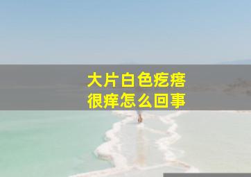 大片白色疙瘩很痒怎么回事