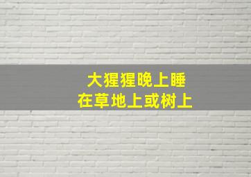 大猩猩晚上睡在草地上或树上