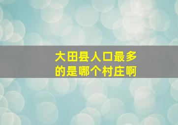 大田县人口最多的是哪个村庄啊