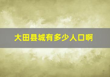 大田县城有多少人口啊