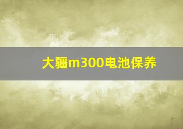 大疆m300电池保养