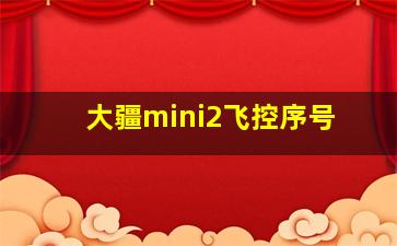 大疆mini2飞控序号