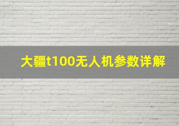 大疆t100无人机参数详解