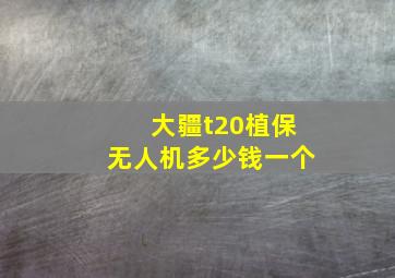 大疆t20植保无人机多少钱一个