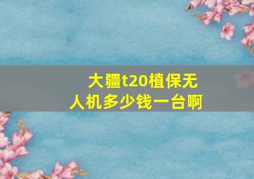 大疆t20植保无人机多少钱一台啊