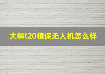 大疆t20植保无人机怎么样