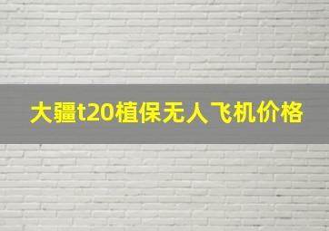 大疆t20植保无人飞机价格