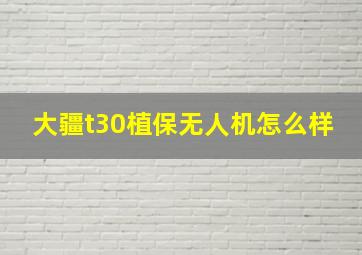 大疆t30植保无人机怎么样