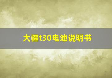 大疆t30电池说明书