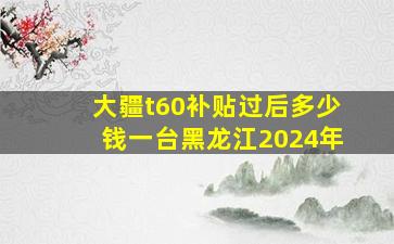 大疆t60补贴过后多少钱一台黑龙江2024年