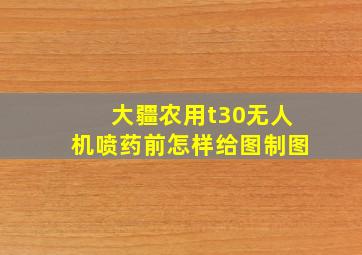 大疆农用t30无人机喷药前怎样给图制图