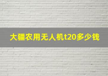 大疆农用无人机t20多少钱