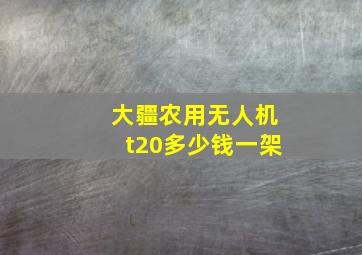 大疆农用无人机t20多少钱一架