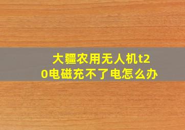 大疆农用无人机t20电磁充不了电怎么办