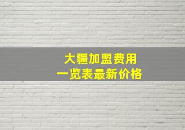 大疆加盟费用一览表最新价格