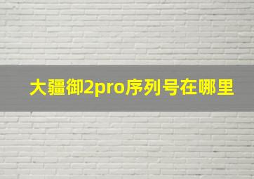 大疆御2pro序列号在哪里