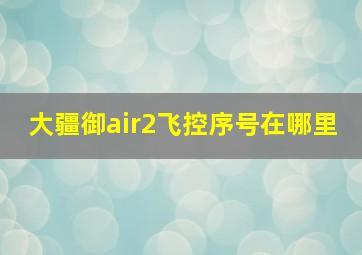 大疆御air2飞控序号在哪里