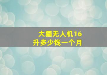 大疆无人机16升多少钱一个月