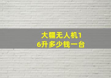 大疆无人机16升多少钱一台