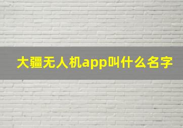 大疆无人机app叫什么名字