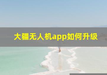 大疆无人机app如何升级