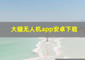 大疆无人机app安卓下载