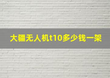 大疆无人机t10多少钱一架