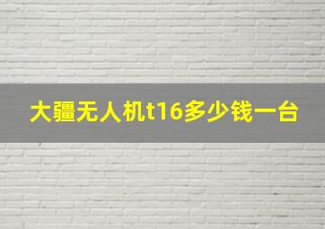 大疆无人机t16多少钱一台