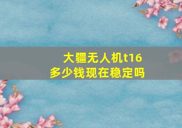 大疆无人机t16多少钱现在稳定吗