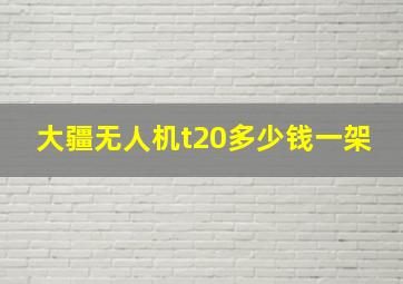 大疆无人机t20多少钱一架