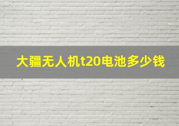 大疆无人机t20电池多少钱