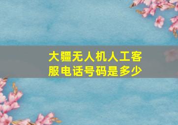 大疆无人机人工客服电话号码是多少