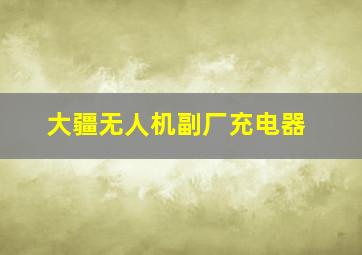 大疆无人机副厂充电器