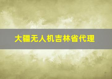 大疆无人机吉林省代理