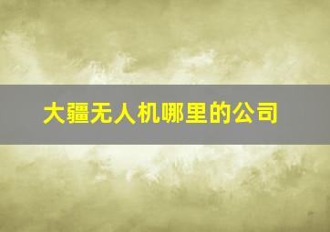 大疆无人机哪里的公司