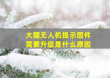 大疆无人机提示固件需要升级是什么原因