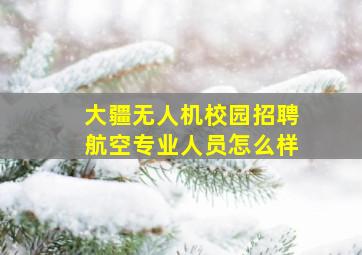 大疆无人机校园招聘航空专业人员怎么样