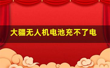 大疆无人机电池充不了电